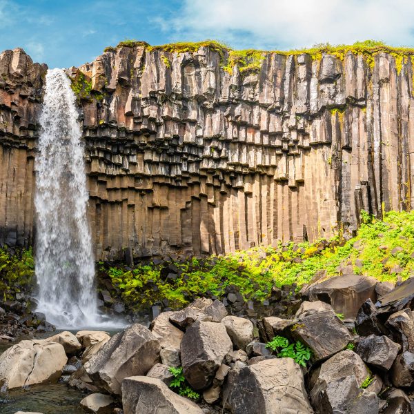 Flugreise ein isländischer Traum - Spektakuläre Steinformation am Svartifoss Wasserfall im Skaftafell National Park