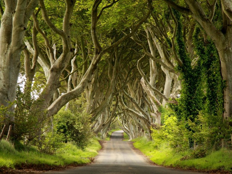 Flugreise Irische Träume