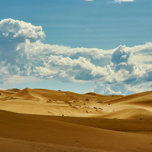 Rundreise durch die Mongolei