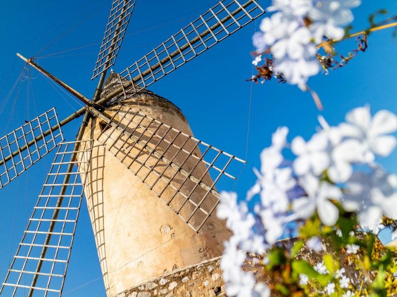 Flugreise Aktiv den Norden Mallorcas entdecken - unsere neue Wanderreise