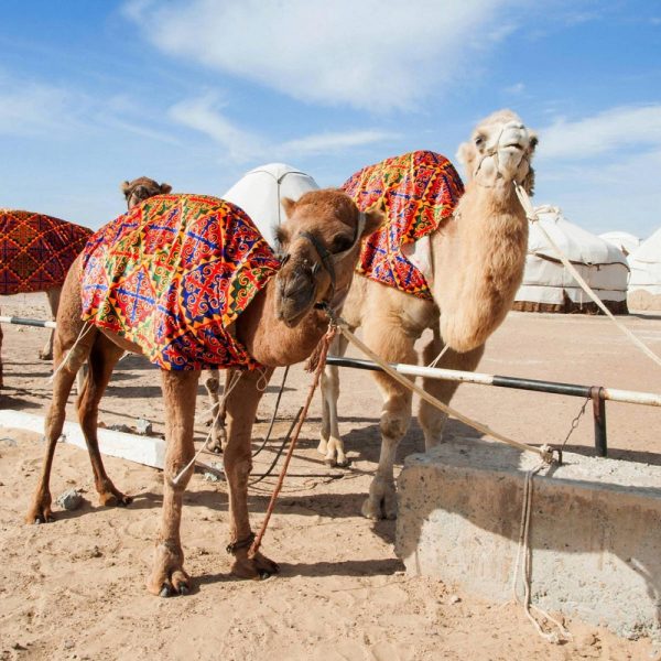 Mythos Seidenstrasse - Rundreise durch Usbekistan