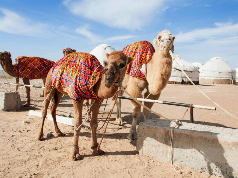 Mythos Seidenstrasse - Rundreise durch Usbekistan