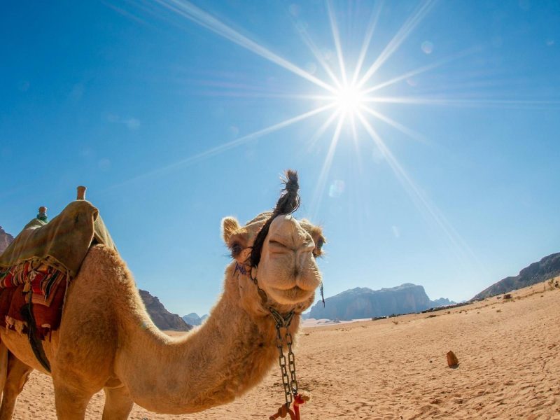 Flugreise Jordanien - Zauberwelt Lawrence von Arabien