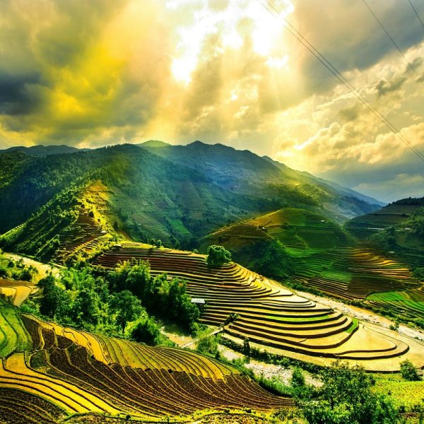 Urlaub auf Bali im grünen Paradies