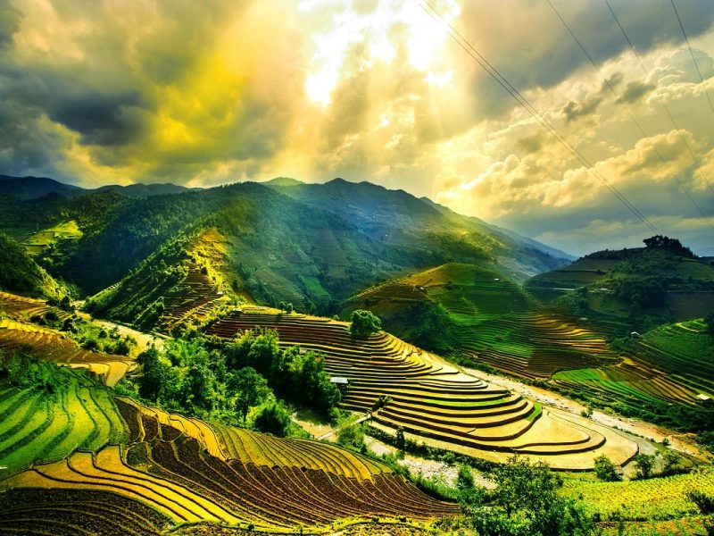 Urlaub auf Bali im grünen Paradies