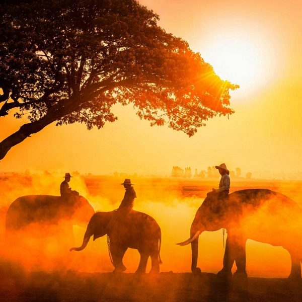 Rundreise und Baden in Thailand - Das Land des Lächelns