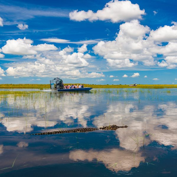 Flugreise Florida Rundreise - Propellerboot-Tour durch die Everglades