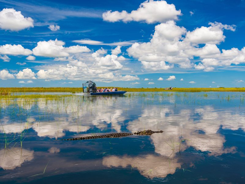 Flugreise Florida Rundreise - Propellerboot-Tour durch die Everglades