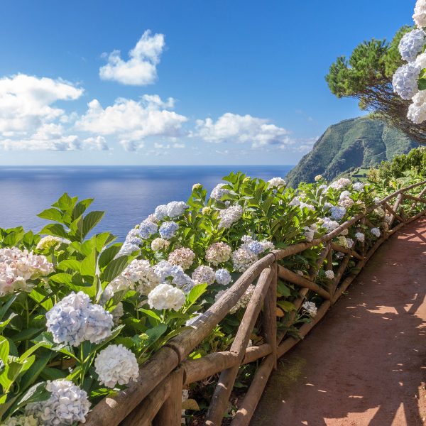 Flugreise Geheimtipp Azoren erleben