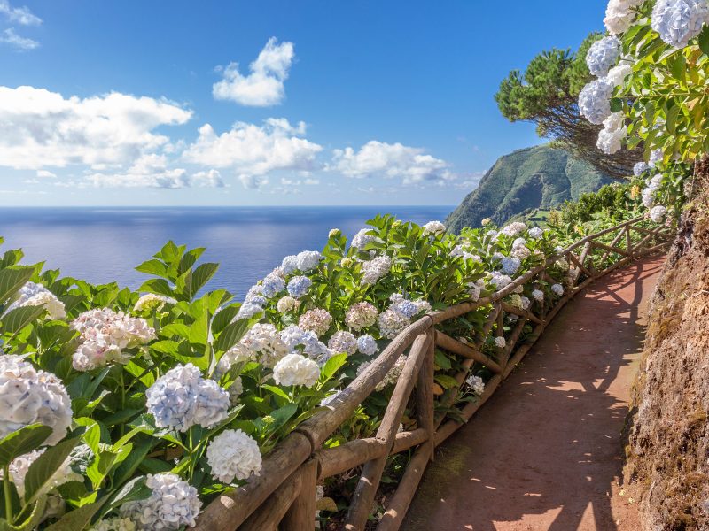 Flugreise Geheimtipp Azoren erleben