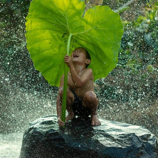 Von Tee und Tempeln in Malaysia