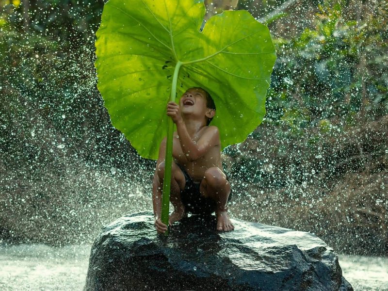 Von Tee und Tempeln in Malaysia