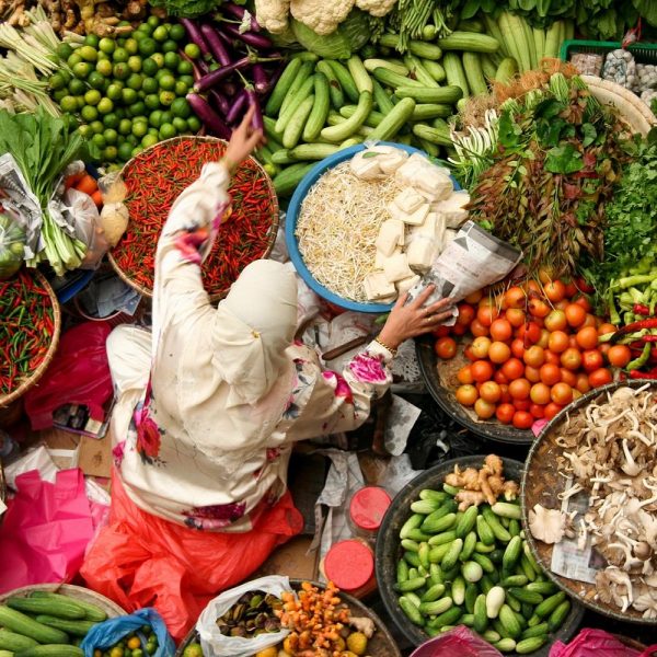 Von Tee und Tempeln in Malaysia