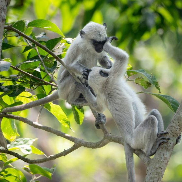 Land und Leute entdecken auf Ihrer Nepal Rundreise