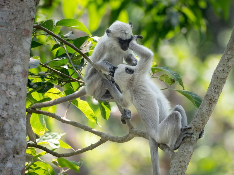 Land und Leute entdecken auf Ihrer Nepal Rundreise