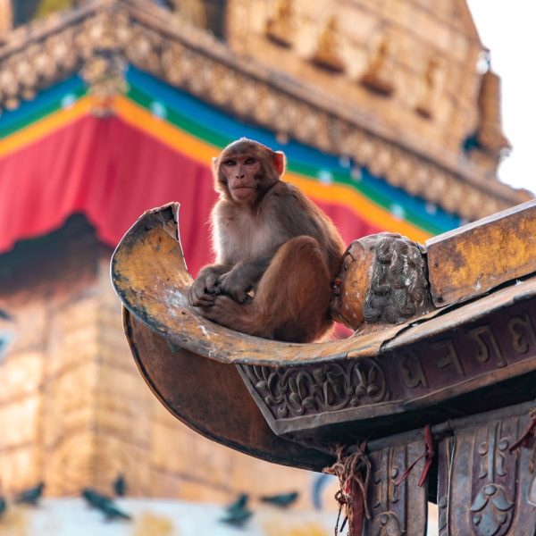 Land und Leute entdecken auf Ihrer Nepal Rundreise