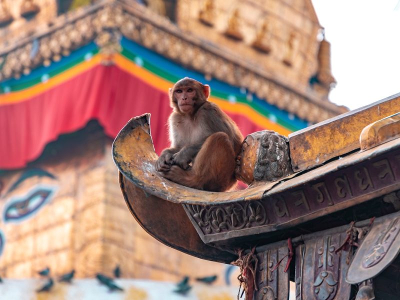 Land und Leute entdecken auf Ihrer Nepal Rundreise