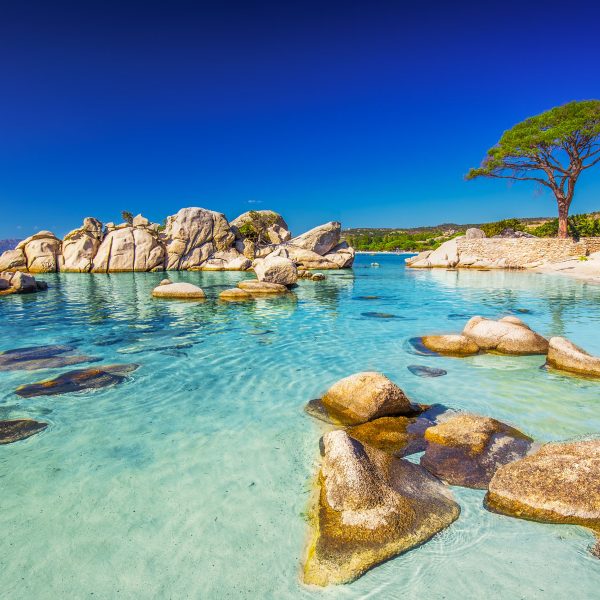 Flugreise Das Leben genießen auf Korsika