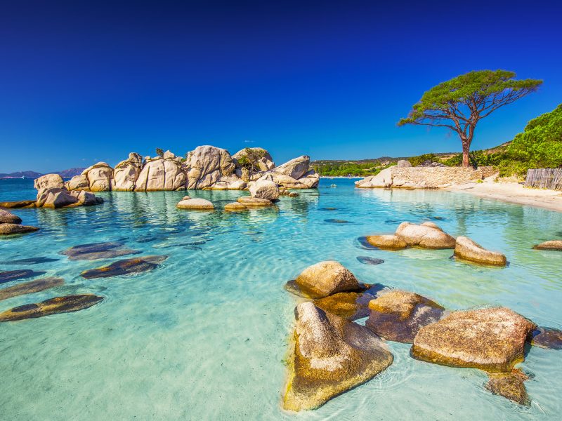 Flugreise Das Leben genießen auf Korsika