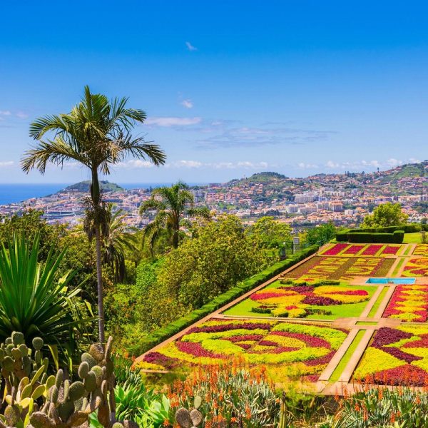 Madeira - Blumeninsel im Atlantik