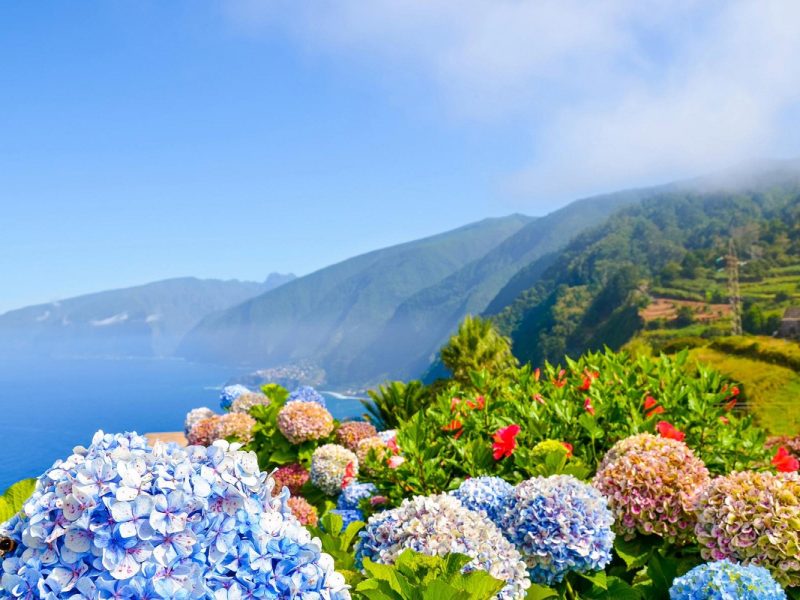 Madeira - Blumeninsel im Atlantik