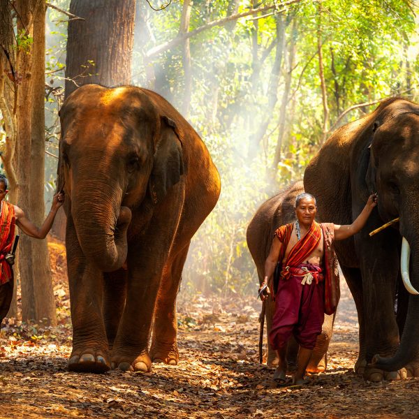 Flugreise Kambodscha - Magie von Angkor und das Meer der Ruhe