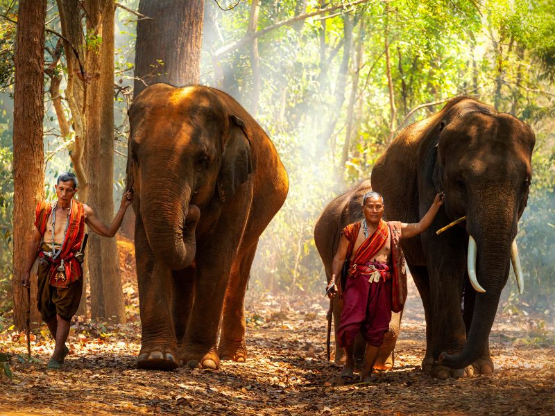 Flugreise Kambodscha - Magie von Angkor und das Meer der Ruhe