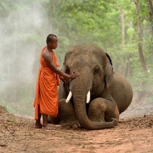 Flugreise Kambodscha - Magie von Angkor und das Meer der Ruhe