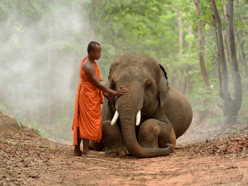 Flugreise Kambodscha - Magie von Angkor und das Meer der Ruhe