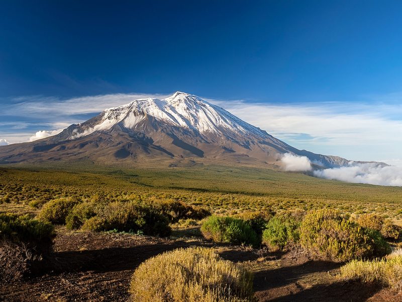Flugreise Safari-Abenteuer & Küstenzauber - Atemberaubende Aussicht auf den Klimandscharo