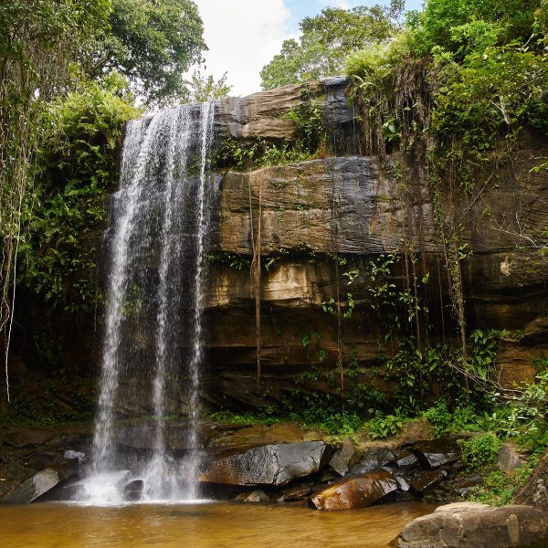 Flugreise Safari-Abenteuer & Küstenzauber - Sheldrick Wasserfall in den Shimba Hills