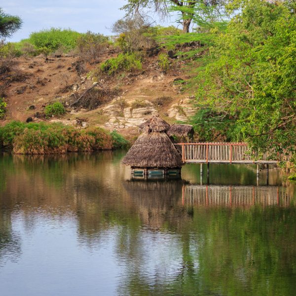 Flugreise Safari-Abenteuer & Küstenzauber - Idyllische Natur an den Mzima-Quellen