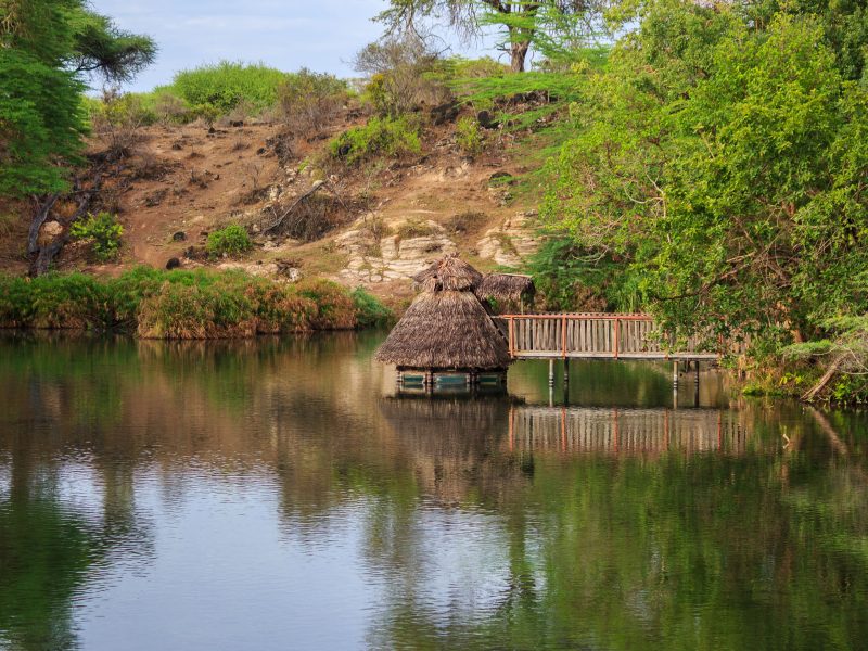Flugreise Safari-Abenteuer & Küstenzauber - Idyllische Natur an den Mzima-Quellen