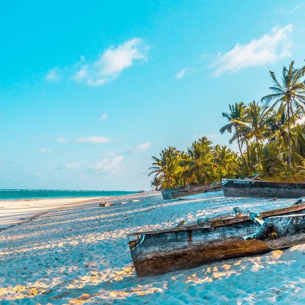 Flugreise Safari-Abenteuer & Küstenzauber - Seele baumeln lassen am Diani Beach