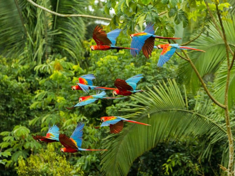 Ecuador pur und aktiv!