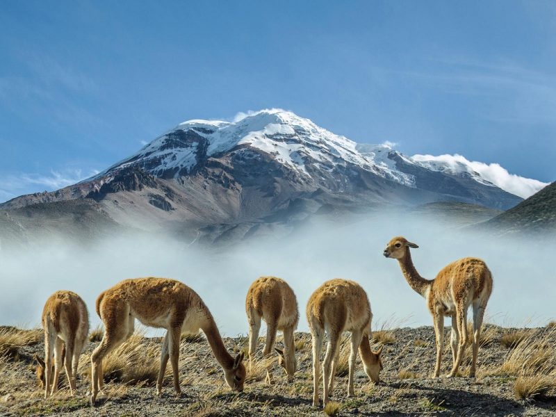 Ecuador pur und aktiv!