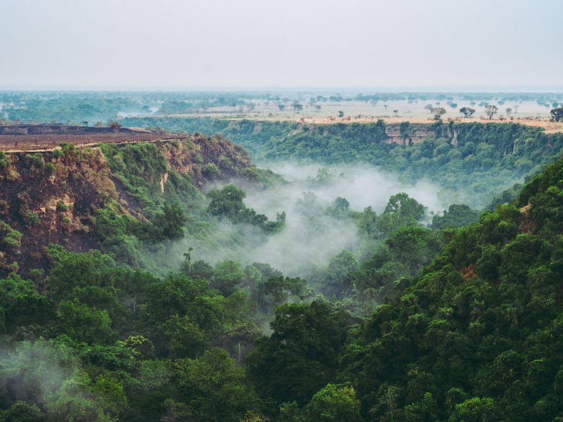 Flugreise Uganda - Tiere Afrikas entdecken: Regenwaldzauber in der Kyambura-Schlucht