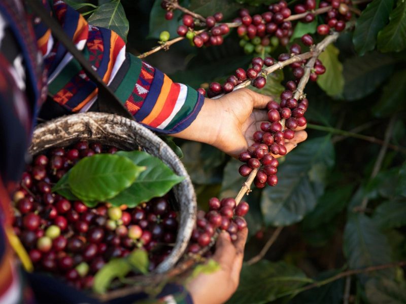 Faszinierendes Kolumbien