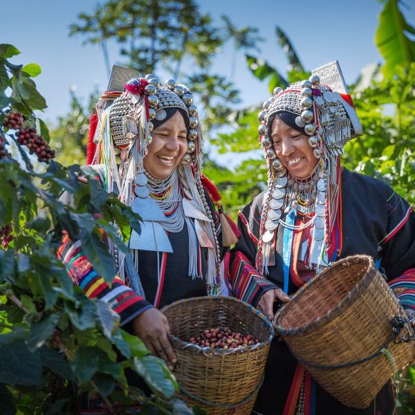 Faszinierendes Kolumbien