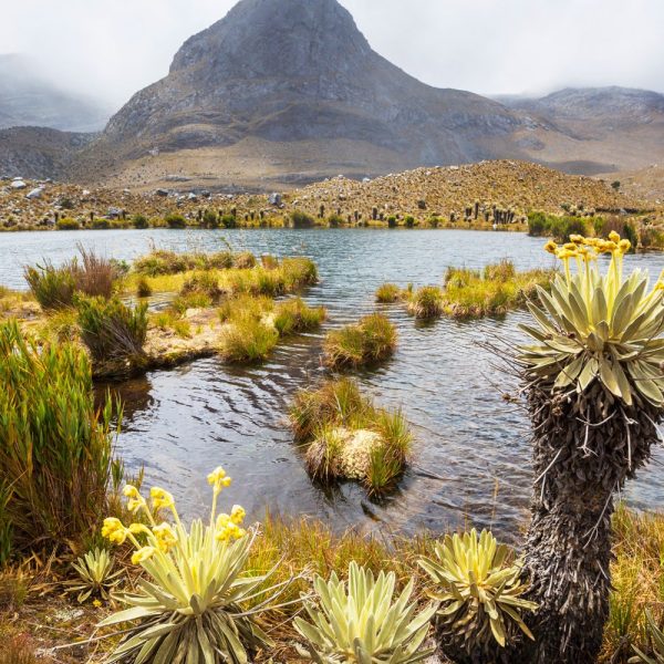 Faszinierendes Kolumbien