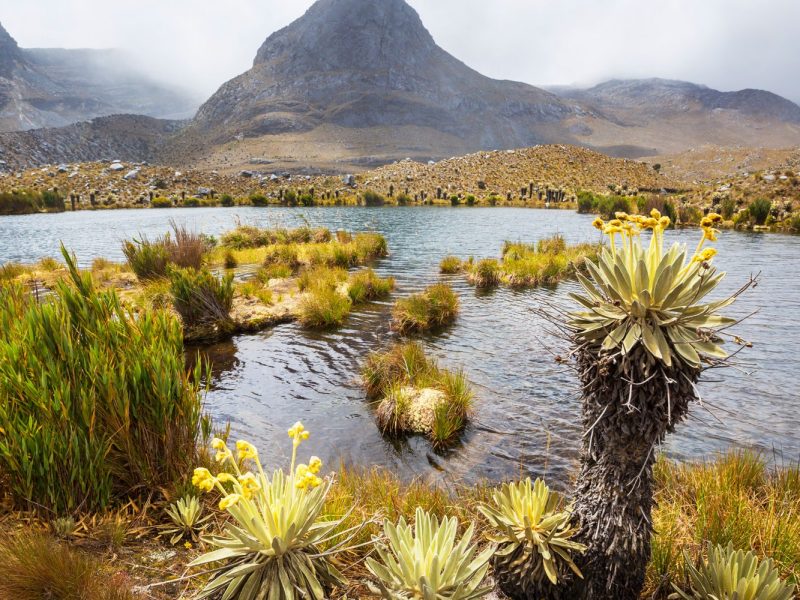 Faszinierendes Kolumbien