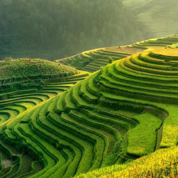 Vietnam – Höhepunkte der Perle Südostasiens