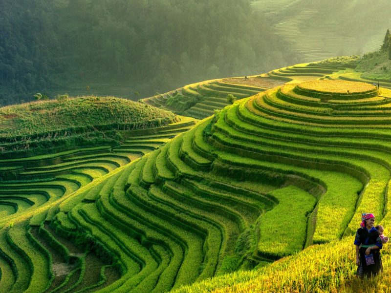 Vietnam – Höhepunkte der Perle Südostasiens