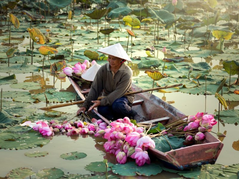Vietnam – Höhepunkte der Perle Südostasiens