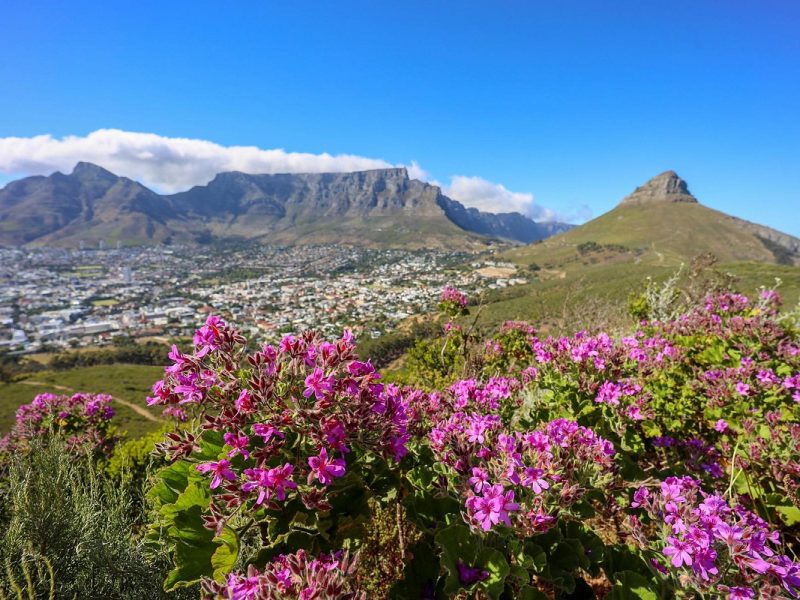 Gartensafari Südafrika