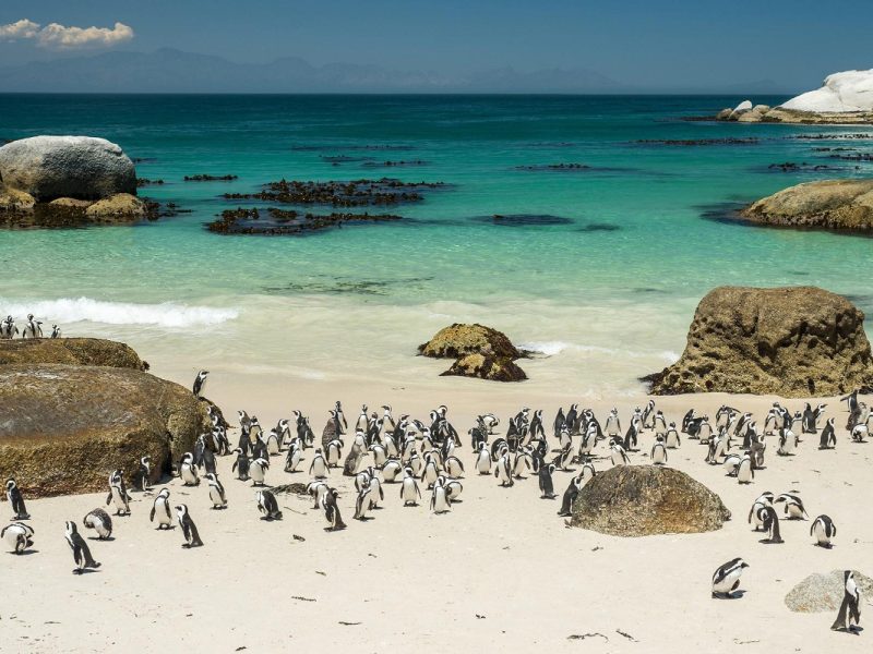 Gartensafari Südafrika