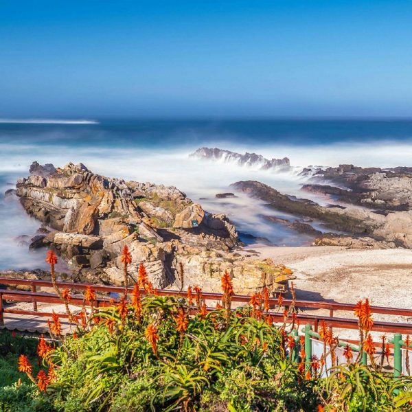 Gartensafari Südafrika