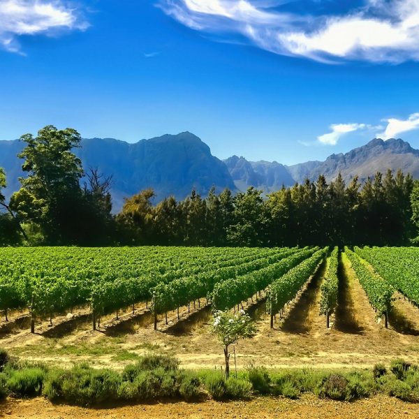 Gartensafari Südafrika