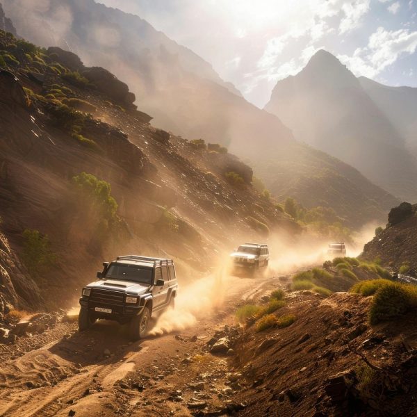 Gartensafari Südafrika