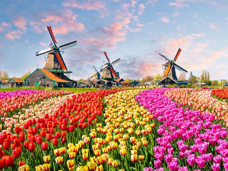 Busreise Amsterdam - „Grachten, Käse & mehr!“